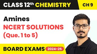 Amines  NCERT Solutions Que 1 to 5  Class 12 Chemistry Chapter 9  CBSE 202425 [upl. by Anilyx]