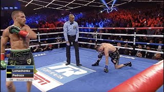 ON THIS DAY VASILIY LOMACHENKO DROPS JOSE PEDRAZA TWICE TO UNIFY 135LB DIVISION FIGHT HIGHLIGHTS [upl. by Airdna]