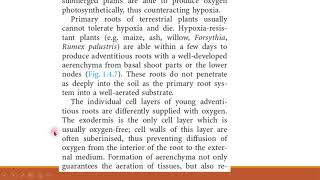 morphological and anatomical changes during oxygen deficiency Trim3 [upl. by Bailie]