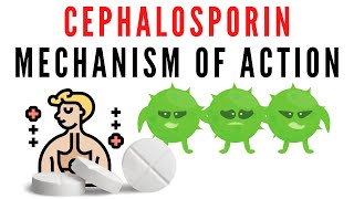 Cephalosporin explained  classification mechanism of action [upl. by Ydnam]