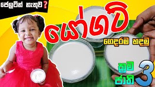 How to Make Yogurt at Home  යෝගට් ගෙදරදීම පිරිසිදුවට  Rayannahs Theory [upl. by Oalsecnew]