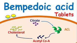 Bempedoic tablets  Mechanism side effects amp precautions [upl. by Sapphira]