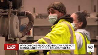 Why onions from Utah aren’t being linked to the E coli outbreak [upl. by Eicram]