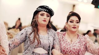 Farshad Amini Kurdish weddings dance 2023 [upl. by Emlynne]