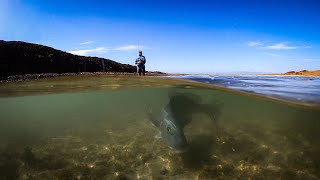 Saltwater Fly Fishing the Dampier Archipelago Flats [upl. by Roslyn]