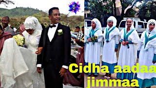 Sirba afaan oromoo haaraa 2023 Oromo music  Oromotiktok [upl. by Rivard]