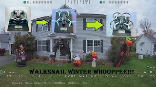 Evo3 Twig GPS mod Walksnail Pro Starlight Winter Whooppee [upl. by Ahsetal]