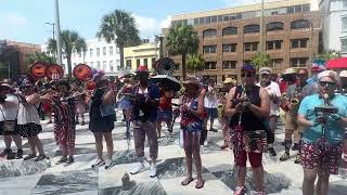 Star Spangled Banner  Piccolo Spoleto Festival 2024 [upl. by Eihcir]