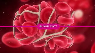 Coagulation Cascade Explained [upl. by Natasha965]