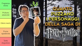 Quanto PUZZANO i personaggi di HARRY POTTER  TIER LIST [upl. by Dustman]