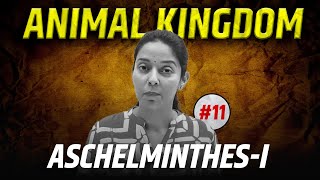 11Aschelminthes part 1  Nemathelminthes  Animal Kingdom  NEET  Class 11 [upl. by Ferrel23]