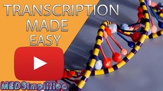 Transcription Made Easy From DNA to RNA 2019 [upl. by Liatrice]