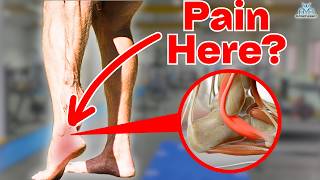 5 BEST Peroneal Tendinopathy Rehab Exercises [upl. by Ronyam318]