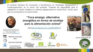 Charla Virtual Yuca Amarga alternativa energética en forma de ensilaje para la alimentación animal [upl. by Ehling]