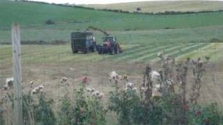 Reco Mengele SH 40  lifting silage with a massey ferguson [upl. by Georgie]