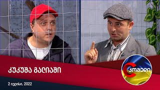 კომედი  კუკუშა გალიაში [upl. by Baggs]