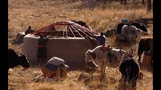 The Nomadic Existence of a Mongolian Herding  Tribe  Earth Unplugged [upl. by Eal]