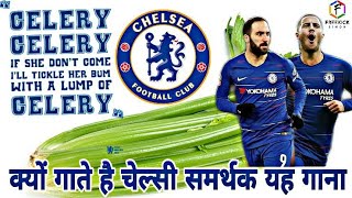 चेलसी क्लब की कहानी  Why celery is tossed by Chelsea fans [upl. by Llerref735]