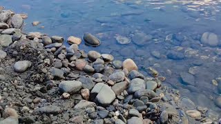 Gandaki river shaligram  finding shaligram shila somewhere near kali gandaki river nepal [upl. by Atikahs472]