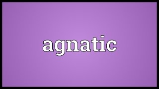 Agnatic Meaning [upl. by Zehcnas]