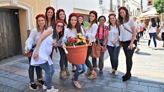 519 Day 33 西班牙 Antequera 安特克拉 → Córdoba哥多華 → Setenil de las Bodegas 嵌入岩石內的山村 → RONDA隆達 [upl. by Siurad]