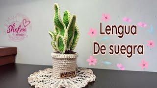 Tutorial lengua de suegra a crochet🪴 [upl. by Fermin]