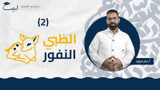 الظبي النفور 2  الصف الحادي عشر 1️⃣1️⃣  اللغة العربية 📜  أ عمر سويد 🥇  منصة لبيب التعليمية 🎓 [upl. by Edyaj]