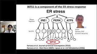 Wolfram syndrome  Diagnostics Biomarkers and Therapeutic Options [upl. by Orgalim]