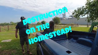 SPECIAL FRIENDS amp DESTRUCTION ON THE HOMESTEAD [upl. by Aneeles659]