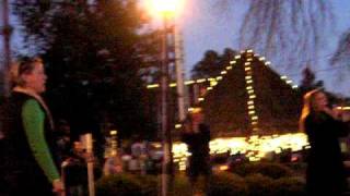 Waxhaw NC Christmas Tree Lighting Countdown and Lights On November 27 2009 [upl. by Bogart]