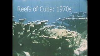 Reefs of the Past Cuba 1970s [upl. by Tonye221]