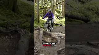 Perfect Entry Level Trail Bike Giant Stance [upl. by Jacobo]