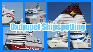 Shipspotting in Oxdjupet  Cruiseferries and cruise ships [upl. by Suehtomit]