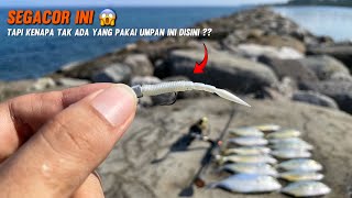 ASLI GACOR  Ikannya Datang Nyerbu Setelah Saya Pakai Umpan Ini [upl. by Tai]