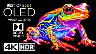 BEST OF OLED Test 4K HDR 60 FPS Dolby Vision 4K Video [upl. by Gentilis]