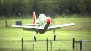 Campbell Aviation Titan T51 Mustang video [upl. by Leirda]