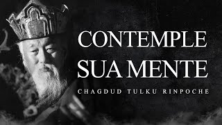 Chagdud Tulku Rinpoche  Contemple sua Mente [upl. by Mode]