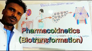 Pharmacology3PharmacokineticsBiotransformationAfSoomaali [upl. by Fabozzi]