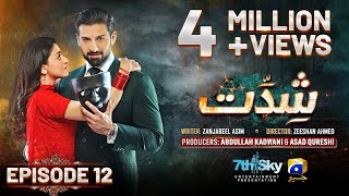 Shiddat Episode 12 Eng Sub  Muneeb Butt  Anmol Baloch  19th March 2024  HAR PAL GEO [upl. by Esserac]