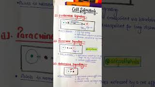 Cell Signalling  Endocrine  Paracrine  Autocrine acepathshala shorts cellsignaling biology [upl. by Ellis103]