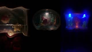 Ocean wonders Aquarium Brahms Lullaby Trio 2002 2005 and 2007 Credits in the description [upl. by Garlanda]