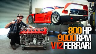 Ferrari Enzo V12 on Steroids The ULTIMATE Engine for my F40 [upl. by Aetnuahs569]