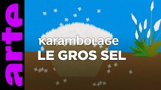 Le gros sel  Karambolage  ARTE [upl. by Tania967]