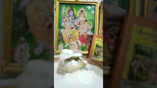 Namkame jeevitham sivayyaa khushichannel pleasesubscribe [upl. by Morrison]