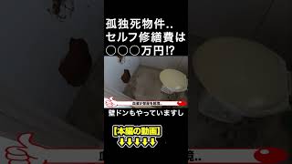 孤独死物件セルフ修繕費は○○○万円⁉ みわ不動産 [upl. by Haiacim]