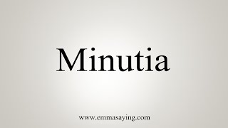 How To Say Minutia [upl. by Kilan334]