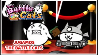 🔴EN VIVO  OTRA RONDA DE THE BATTLE CATS EN OCTUBRE 2024 [upl. by Nennek]