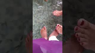 fish pedicure experience 😍 [upl. by Inaniel]