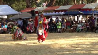 Chad BrownEagle at Stanford powwow 2015 [upl. by Aeriell]