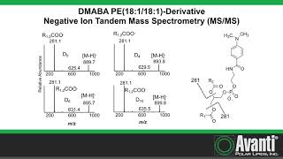 DMABA Derivatization Aminophospholipid [upl. by Selohcin]